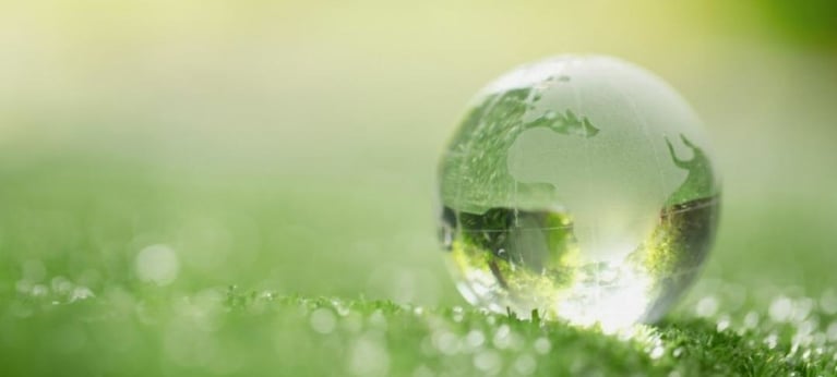 5 Steps To A Sustainability Transformation Plan For Your Business